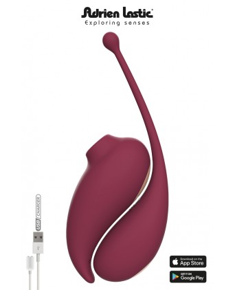 Oeuf vibrant et stimulateur clitoridien connectés - Inspiration - Stimulateurs clitoris