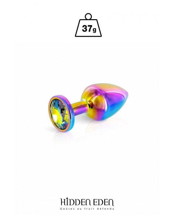 Plug bijou aluminium Rainbow XS - Hidden Eden - Plugs, anus pickets