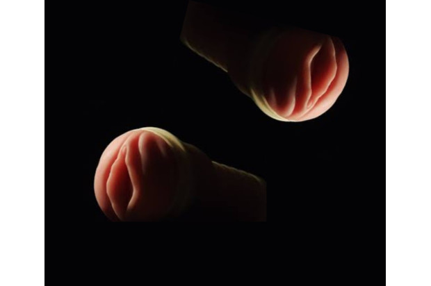 Caractéristiques techniques d'un masturbateur Fleshlight
